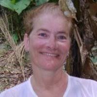 PDF) Cadernos do Cescar: Caderno 2