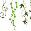 Find & download free graphic resources for vine pattern. 1