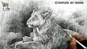 Download the perfect female lion pictures. How To Draw Female Lion And Cub Shading With Pencil Easy Pencil Strokes Youtube