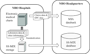 Flow Of Data In The National Hospital Organization Dpc