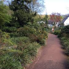 Hier finden sie eine lageplan und eine liste der standorte und dienstleistungen verfügbar in der nähe von am botanischen garten: Photos At Botanischer Garten Kaiserberg Duissern Schweizer Str 24
