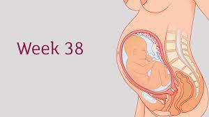 You can reduce swelling by staying active, putting your feet up, lying on your side, and (surprisingly) drinking lots of water. 38 Weeks Pregnant All You Need To Know Tommy S