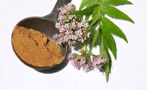 What does Valerian root do for you? | How Valerian Root Helps Sleep – Just  Bee Honey