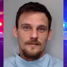 Sheriff: Champaign man arrested for battering girlfriend, stealing truck,  and gun