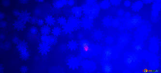 We did not find results for: Download Free Picture Blue Snowflake Banner Background On Cc By License Free Image Stock Torange Biz Fx 62556