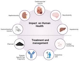 Image result for Sphaeropsis tumefaciens oleander symptoms