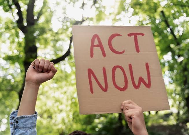Right action Images - Free Download on Magnific (formerly Freepik)
