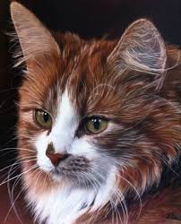 Takipcimiz Nuray Boguc Un Muhtesem Kedi Cizimi Anadolukedisi Anatoliancat Caturday Catdrawing Catpainting Cat C Pretty Cats Cute Cats Beautiful Cats