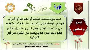 معني اسم نورة صفات حامل اسم نورا الغدر والخيانة