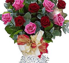 Animalt Foto Flowers Flowers Gif Beautiful Roses