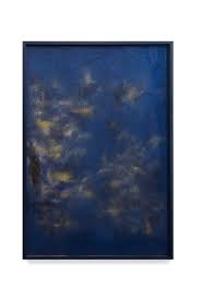 Bildergebnis für Vanessa Safavi