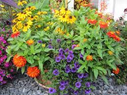 Large enough to accommodate 12.7 gallons of soil for growing your favorite juice or smoothie ingredients, it's also compact enough the product also works well as an elevated flower box planter. How To Plant Flowers In Large Planters Hgtv