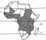 Image result for Voacanga chalotiana