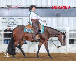 Image result for Handic 199