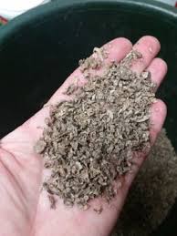 Check spelling or type a new query. Pro Equine Grooms Beet Pulp For Horses