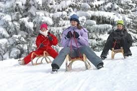 Lileno sports kinder poporutscher zum rodeln (1er set) leader accessories aufblasbar schlitten schneereifen rodelreifen snow tube rutschunterlage schneeschlauch kinder erwachsene. Kaufhilfe Schlitten Wie Sieht Ein Guter Kinderschlitten Aus