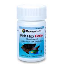 Fish Flox Forte Ciprofloxacin 500 Mg Tablets 12 Count In 2020 Fish Antibiotics Dna Repair Skin Ulcer