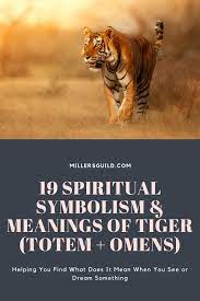 19 Spiritual Symbolism Meanings Of Tiger Totem Omens