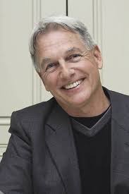 Should I still stay in NCIS?