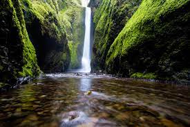 Feel free to use all of these nature images for commercial use. Free Photo Nature Animals Herd Herding Free Download Jooinn