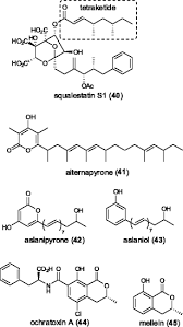 Lumayan banyak psertanya sekitar 50 orang mungkin. Unraveling Polyketide Synthesis In Members Of The Genus Aspergillus Springerlink