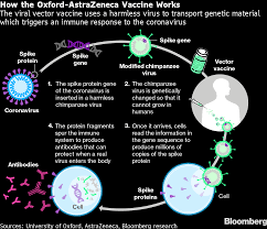 The astrazeneca/oxford vaccine showed a somewhat lower efficacy, but is less expensive and poses fewer issues involved in distribution and administration. Astra Vaccine Is Effective But Leaves Questions In Older Ages