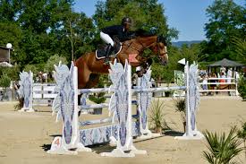 Jessica Hirt Blog Equestre Saut D Obstacles Equestre Equitation