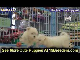 Craigslist (stylized as craigslist) is an american classified advertisements website with sections devoted to jobs, housing, for sale, items wanted, services, community service, gigs, résumés, and discussion forums. Craigslist Huntington Wv Jobs Jobs Ecityworks