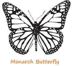 Free, printable coloring pages for adults that are not only fun but extremely relaxing. Butterfly Coloring Pages Butterfly Coloring Page Butterfly Drawing Butterfly Template