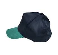 Cleanroom ESD 5mm Stripe Polyester Hat Dust Free Work Anti ...