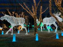 Aurora Winter Festival Winter Festival Toronto Travel Photo Spots
