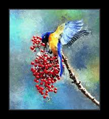 Image result for fotosketcher