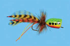 Fire Tiger Popper Bass Fly Smallmouth Bass Fly A Great Fly Pattern Salt Water Fishing Fish Smallmouth Bass