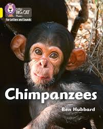 Chimpanzees: Band 03/Yellow by Ben Hubbard
