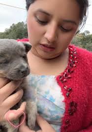 Solista Fernanda Sabina: Quiero Cantar Una Linda Canción