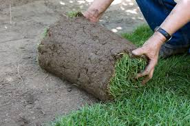 Video Rollrasen Verlegen Gartenplanung Rasen Schnell Wachsende Pflanzen