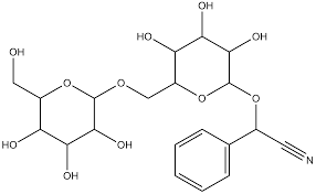 Find all the information about amygdalin for cell signaling research. Apexbio Amygdalin