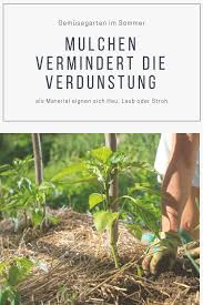 Was Tun Bei Trockenheit Im Garten Garten Pflanzen Garten Biogarten
