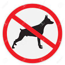 Check spelling or type a new query. No Dogs Allowed Sign Royalty Free Cliparts Vectors And Stock Illustration Image 56850697