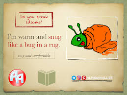 English Vocabulary What Could Be Better Than Feeling Warm And Snug In Such Cold Weather Warmandsnug Snug Snuglik Idioms Learn English English Idioms