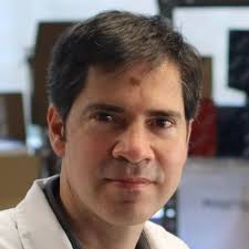 Thanks to @Montse_JExpMed @StephHoust @NatImmunol Yvonne Bordon  @NatRevImmunol & Ursula Weiss @Nature for participating intensely in the  #DC2024 interacting with researchers during the meeting and the dinner, and  sponsoring the awards for