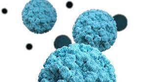 It can survive freezing and temperatures up to 140 f, and hand sanitizers have no effect on it. About Norovirus Cdc