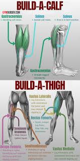There S More To Leg Workouts Than Just Squats Since Your Legs Are Made Up Of Many Muscle Groups It S Importa Calf Exercises Full Leg Workout Gym Workout Tips