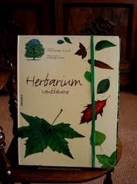 Mein digitales herbarium ist eine sammlung von wildkräutern und heilpflanzen. Herbarium Laubbaume Allain Yves Marie Buch Erstausgabe Kaufen A02gbwlo01zz1