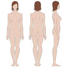 Our true lasers ® are designed to remove hair by emitting wavelengths of light that are absorbed by the pigment of the hair. Female Full Body Laser Hair Removal