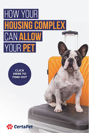Give Your Pet The Access Emotional Support Animal Support Animal Pets