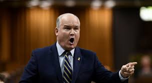 And because life is best when it's a balance of work and play, i love finding stories that highlight culture, music, the outdoors, and. Erin O Toole Is Also A Candidate For The Tory Leadership Macleans Ca