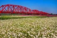 Xiluo Bridge - Wikipedia