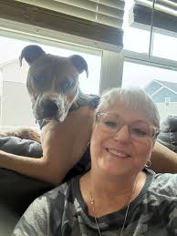 Plush toys for aggressive chewers?