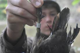 PA youth hunt. No info entered